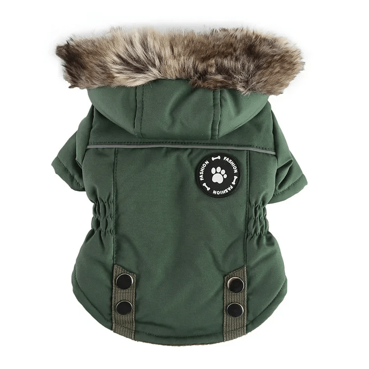 Winter Utility Jackets - PawPlaza