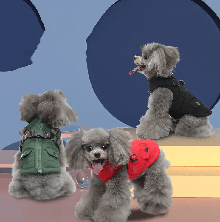 Winter Utility Jackets - PawPlaza