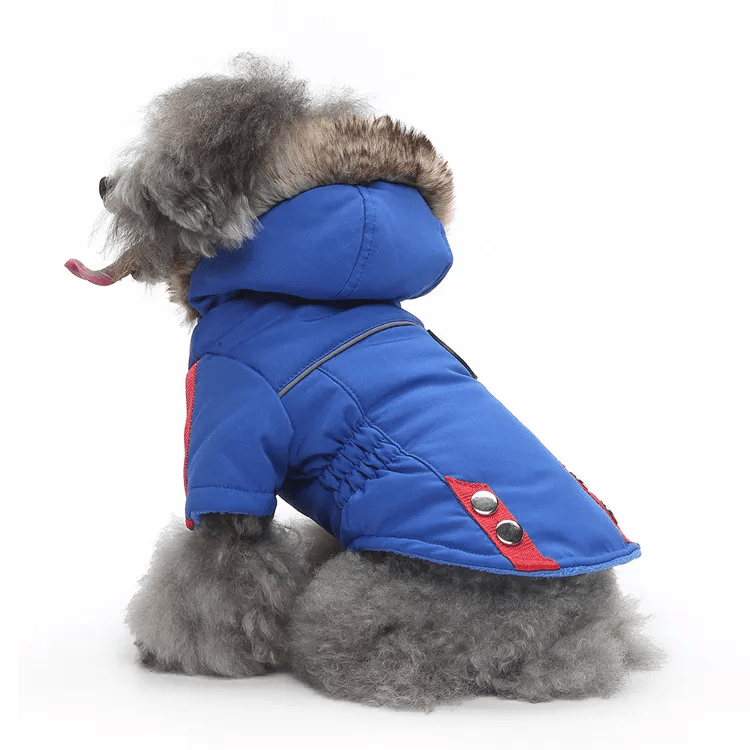Winter Utility Jackets - PawPlaza
